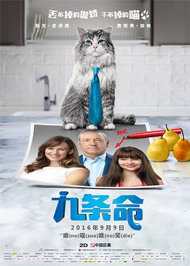 国产精品视频自拍